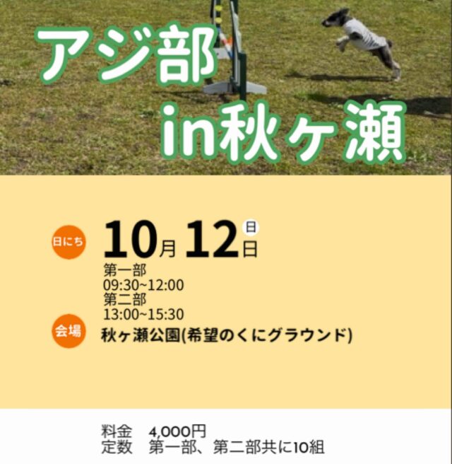 アジ部in秋ヶ瀬開催のお知らせ

10月12日(日)に秋ヶ瀬公園でアジリティーの練習会を行います。

今回は午前、午後の二部構成となります。

定数は共に10組です。

参加を希望される方はご連絡をお願いいたします。

※参加できるのは当スクールのお客様に限らせていただきます。

#アジリティー
#アジ部