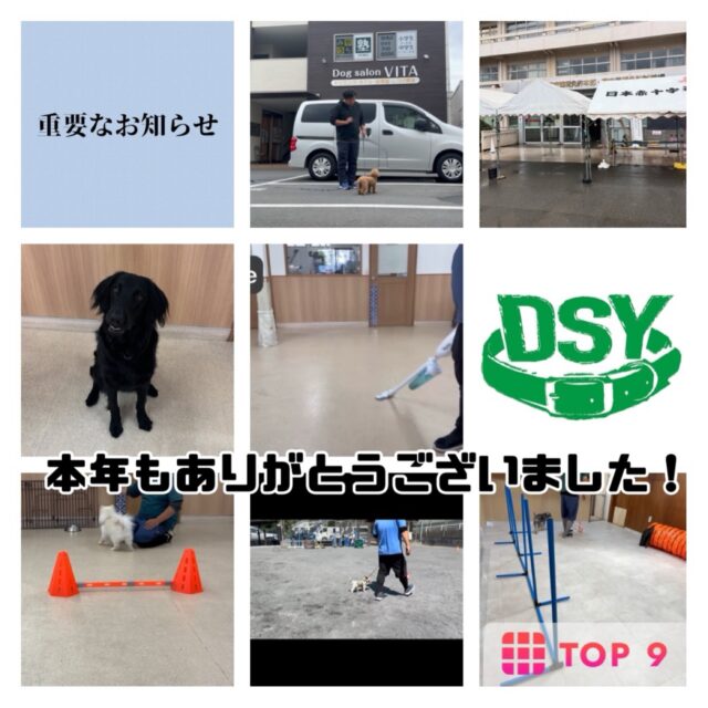 今年も当スクールをご利用いただきまして誠にありがとうございました。

今年は移転もありバタバタした１年でしたが皆様のおかげでこの日を無事に迎える事ができました。

来年も当スクールをよろしくお願いいたします🙇

#大晦日
#2025
#感謝
#ありがとうございました
#犬の保育園