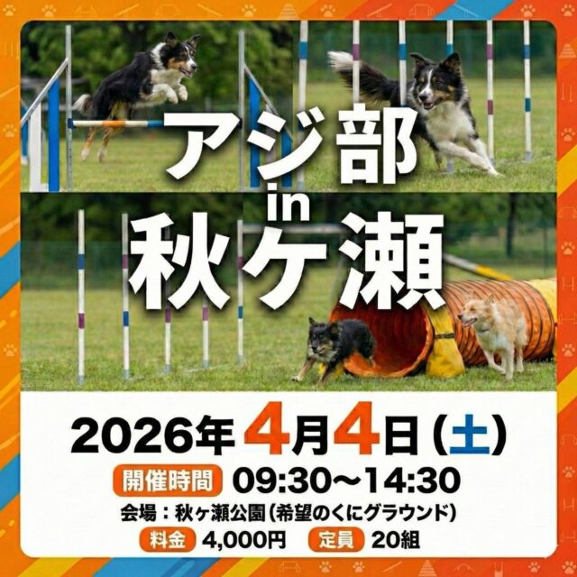 [スケジュール変更のお知らせ]

先日投稿した４月４日(土)のアジ部in秋ヶ瀬ですがスケジュールに変更がございます。

当初は第1部、第2部の2枠で行う予定でしたが9:30〜14:30の１枠で行うことになりました。

もしお早めにご帰宅されたい方は出走順を早めますので当方にお伝えください。