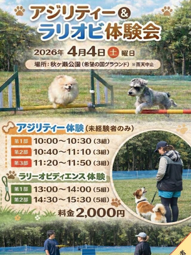アジリティー＆ラリーオビディエンス体験会のお知らせ

4月4日(土)に秋ヶ瀬公園でアジリティー体験会＆ラリーオビディエンス体験会を開催いたします。

ラリーオビディエンス(ラリオビ)とは、ランダムなコースに設置されたサイン（パネル）に従って、制限時間内に犬と人がチームで「おすわり」「伏せ」などの服従課題を連続してクリアしていくドッグスポーツです。

料金は共に2,000円となります。
この体験会はどなたでもご参加できます。

参加をご希望される方は当スクールまでご連絡をお願いいたします。

#秋ヶ瀬公園
#ラリーオビディエンス
#ラリオビ
#アジリティー
