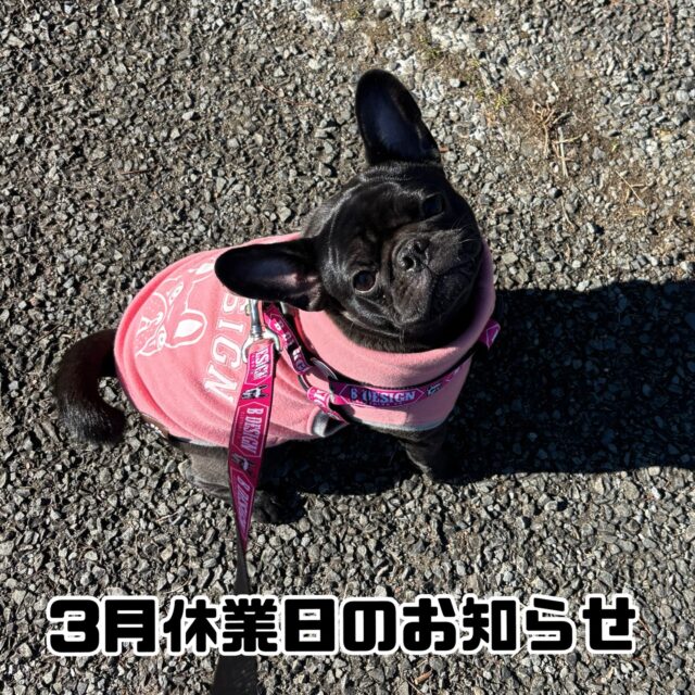 3月休業日のお知らせ

いつもスクールをご利用いただきまして誠にありがとうございます。

当スクールでは以下の日程を臨時休業とさせていただきます。

[3月]

7日(土)〜8日(日) 神奈川出張のため

お客様にはご迷惑をおかけしますが何卒ご理解のほどよろしくお願いいたします。

#臨時休業
#お休み
#出張