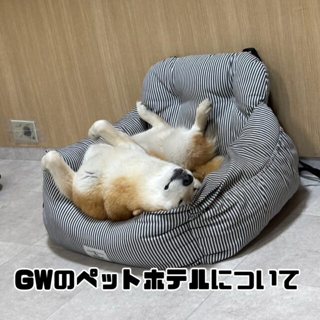 GWのペットホテルについて

ご予約可能期間

5月2日(土)〜5月5日(火)

詳細をご希望の方は当スクールに連絡をお願いいたします。

※ペットホテルのご利用は当スクールを利用されたことのあるお客様に限らせていただきます。

#ゴールデンウィーク
#ペットホテル
#連休