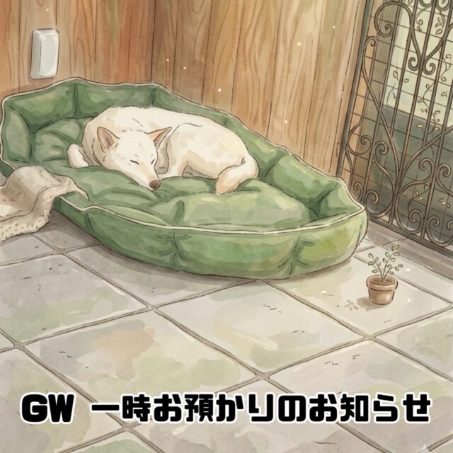 GW 一時お預かりのお知らせ

ご利用可能期間

5月2日(土)〜5月5日(火)

ご利用可能時間
9:00〜18:00

1時間1,000円

詳細をご希望の方は当スクールに連絡をお願いいたします。

引き続きペットホテルもご予約受付中です。

※ペットホテル、一時お預かりのご利用は当スクールを利用されたことのあるお客様に限らせていただきます。

#ゴールデンウィーク
#一時お預かり
#連休