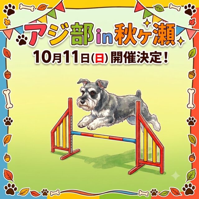 10月11日(日)にアジ部in秋ヶ瀬を開催することが決定いたしました！

詳細が決まりましたらInstagramにて告知いたします👍

#秋ヶ瀬公園
#アジリティー
#アジ部