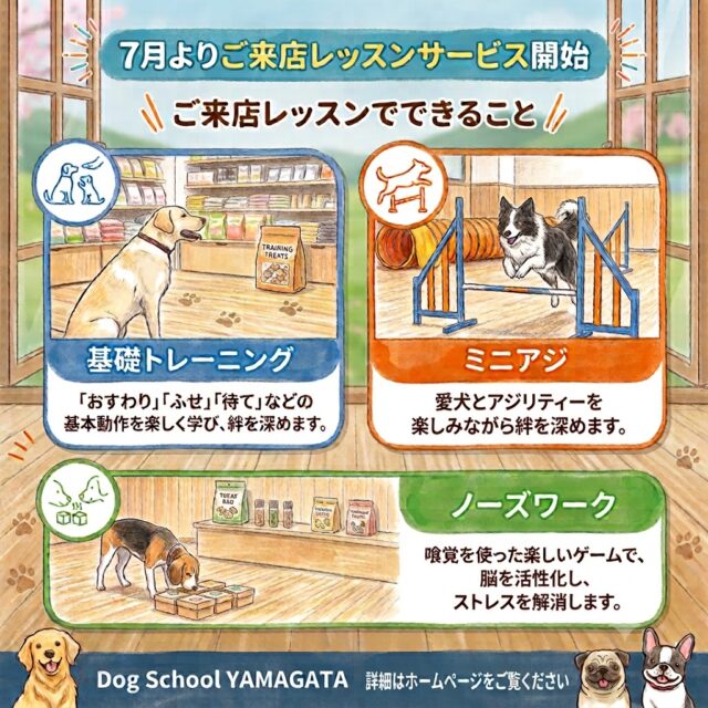 7月より新たなサービス[ご来店レッスン]がスタートします！

ご新規様、お友達と2組でのご利用も可能です🙏

詳細はホームページをご覧ください🙇

※ミニアジは小型犬のみとなります。

#レッスン
#室内ドッグラン
#グループレッスン