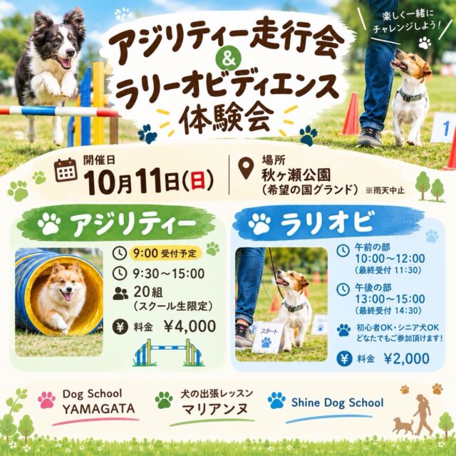 アジリティー走行会&ラリーオビディエンス体験会開催のお知らせ

10月11日(日)に秋ヶ瀬公園にてアジリティー走行会&ラリーオビディエンスを開催いたします。

参加をご希望の方は当スクールまでご連絡下さい。