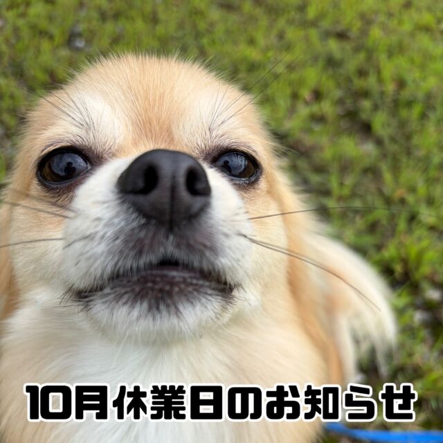 10月休業日のお知らせ

いつもスクールをご利用いただきまして誠にありがとうございます。

当スクールでは以下の日程を臨時休業とさせていただきます。

[10月]

3日(土)〜4日(日)  埼玉出張のため

11日(土)  イベント開催のため

お客様にはご迷惑をおかけしますが何卒ご理解のほどよろしくお願いいたします。

#臨時休業
#お休み
#出張