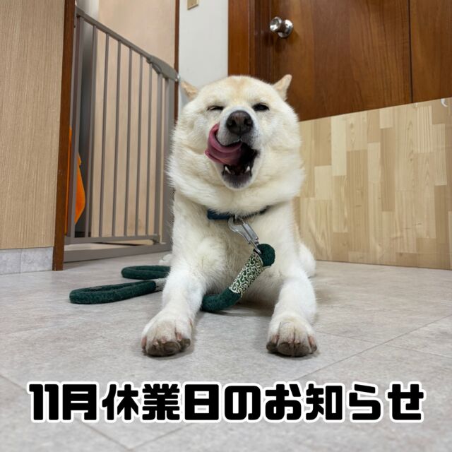 11月休業日のお知らせ

いつもスクールをご利用いただきまして誠にありがとうございます。

当スクールでは以下の日程を臨時休業とさせていただきます。

[11月]

4日(水)　諸事情のため

お客様にはご迷惑をおかけしますが何卒ご理解のほどよろしくお願いいたします。

#臨時休業
#お休み