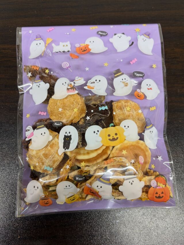今年もハロウィンのオヤツ配布スタートします👍

今回のラインナップは

ささみチップ
馬肉スライス
豚レバー
たまごせんべい
かぼちゃ

となります✨

みんな食べてくれるかなー☺️

#ハロウィン
#オヤツ
#トリックオアトリート